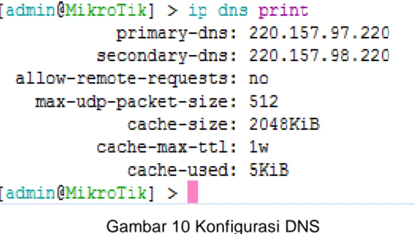 Gambar 10 Konfigurasi DNS 
