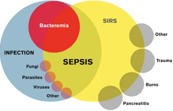 Gambar 2.7 Relasi SIRS, sepsis, dan infeksi (Bone et al., 1992) 