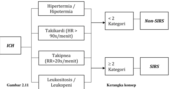 Gambar 2.11  Kerangka konsep  