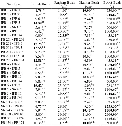 Tabel 18. Penampilan Jumlah Buah pada Umur 7 BST, Panjang Buah, Diameter Buah dan Bobot Buah 28 Nomor Persilangan Pepaya 