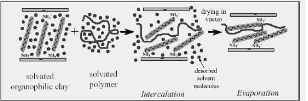 Gambar 1.  Proses masuknya polimer organik kedalam struktur antar lapisan lempung pada  proses pembuatan clay-nanocomposite