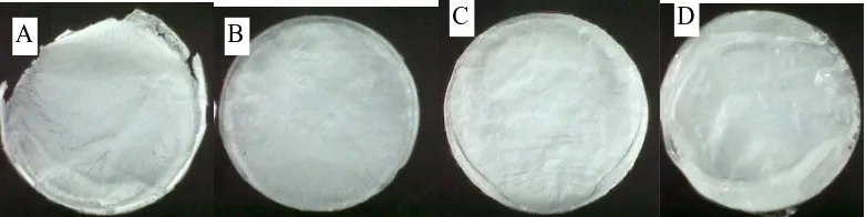 Gambar 4. Hasil pengukuran konsentrasi filtrat glukosa dari masing-masing membran selulosa asetat.