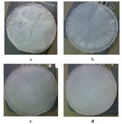 Fig. 2. Macroscopic sight cellulose acetate membranes (a: 0.5%, b: 1%, c: 1.5%, d: 2%) 