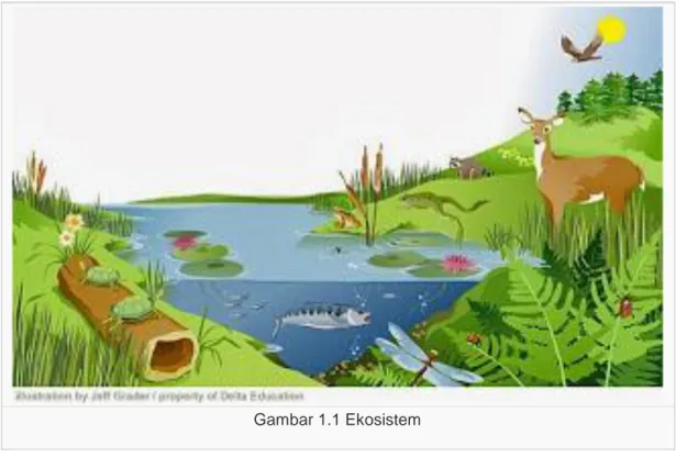 Gambar 1.1 Ekosistem  