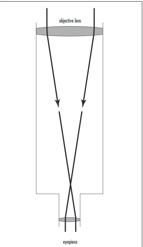 figure on page 496.) Varying degrees of closure are possible.