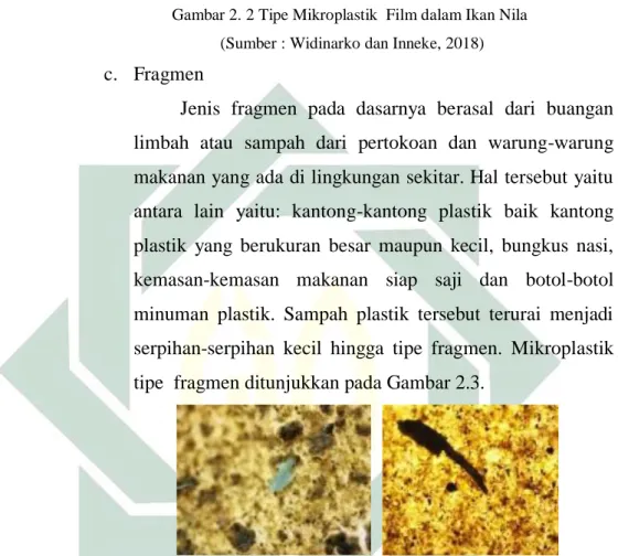 Gambar 2. 3 Tipe Mikroplastik Fragmen dalam Sedimen   (Sumber : Widinarko dan Inneke, 2018) 