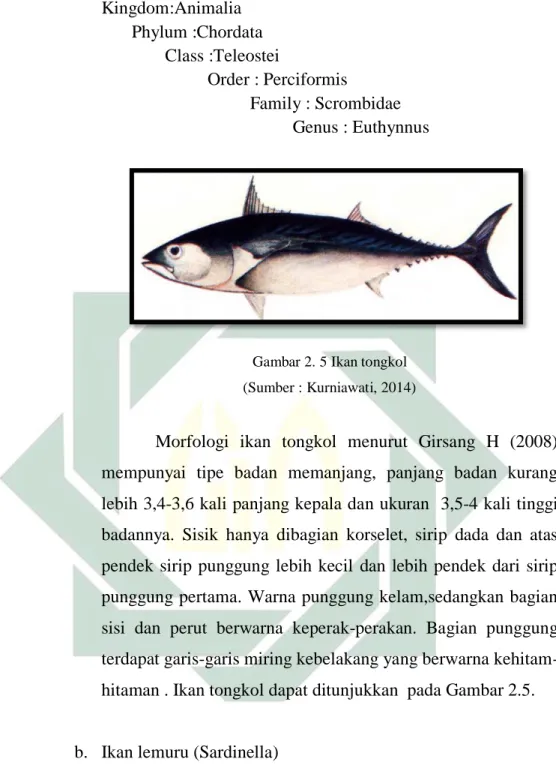 Gambar 2. 5 Ikan tongkol  (Sumber : Kurniawati, 2014) 