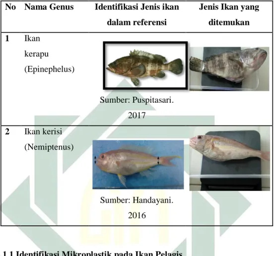 Gambar 4. 1 Hasil Identifikasi Mikroplastik Tipe (Film) pada Ikan Tongkol (Perbesaran 5 x  5) 