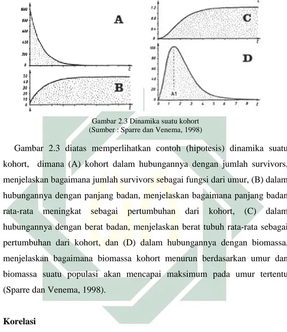 Gambar 2.3 Dinamika suatu kohort  (Sumber : Sparre dan Venema, 1998) 