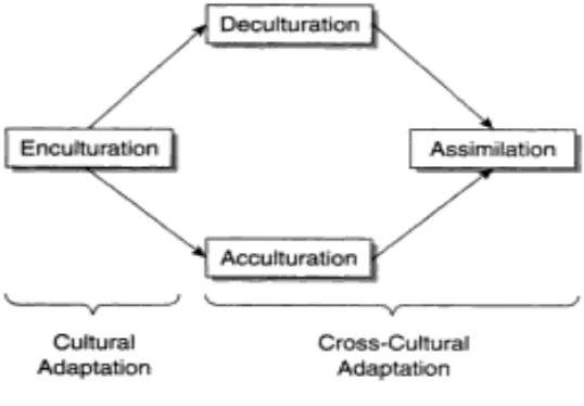 Gambar 1: Hubungan antara istilah kunci dalam Adaptasi Antar Budaya (Sumber: Kim, 2001) 