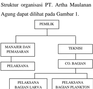 Gambar 1. Struktur Organisasi PT. AMAPEMILIKTEKNISIMANAJER DANPEMASARANCO. BAGIANPELAKSANAPELAKSANABAGIAN PLANKTONPELAKSANABAGIAN LARVA