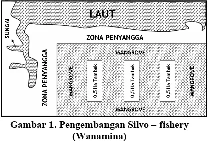 Gambar 1. Pengembangan Silvo – fishery 