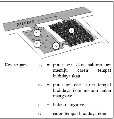 Gambar 2. Pola Wanamina Komplangan 