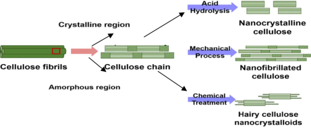 Gambar 10. Skema ekstraksi nanoselulosa dari biomassa lignoselulosa. 