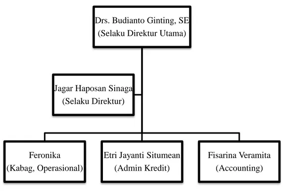 Tabel  1.  Struktur  Organisasi  di  Bank  Perkreditan  Rakyat  Nusantara  Bona  Pasogit 17