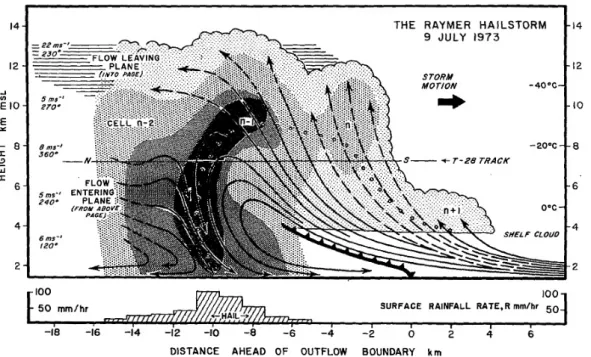 Abbildung 2.2.: Querschnitt einer Multizelle aus Browning et al. (1976). Das Sturmsystem zieht in der Abbildung von links nach rechts, die durchgezogenen, teils gestrichelten Linien zeigen den Luftfluss relativ zum bewegten System an