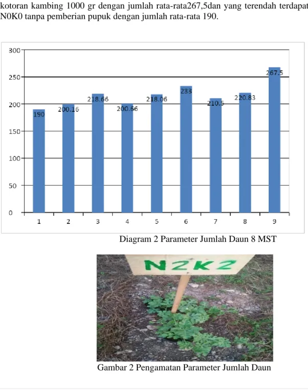 Gambar 2 Pengamatan Parameter Jumlah Daun 