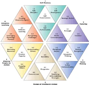 Gambar 2.6 Banff Centre Competency Matrix Model 