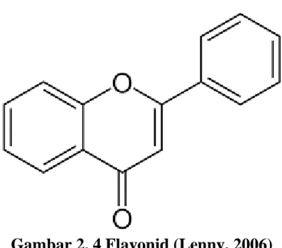 Gambar 2. 4 Flavonid (Lenny, 2006) 