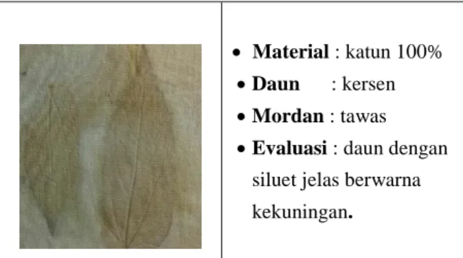 Gambar 7. Eksperimen Terpilih