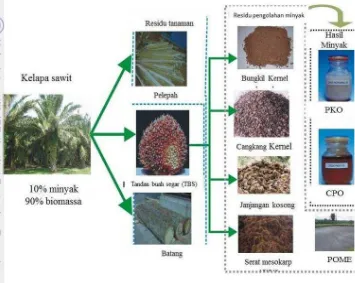Gambar 7  Berbagai hasil pemanfaatan kelapa sawit 