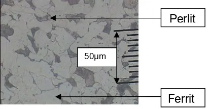 Gambar 8. Struktur mikro material dasar baja karbon rendah (materialraw ) dengan pembesaran 200 x 