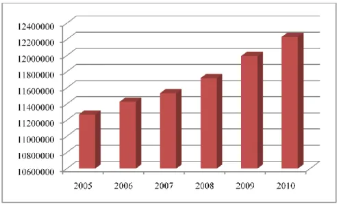 Gambar I.2  Perkembangan Wisatawan Domestik Tahun 2005-2010  (Sumber: Badan Pusat Statistik 2011) 