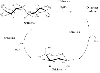 Gambar 4.3 Reaksi Hidrolisis Selulosa  