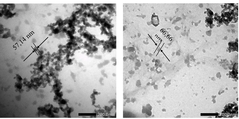 Gambar D.2 Hasil Analisis X-Ray Diffraction (XRD) Selulosa Nanokristal (NCC) 
