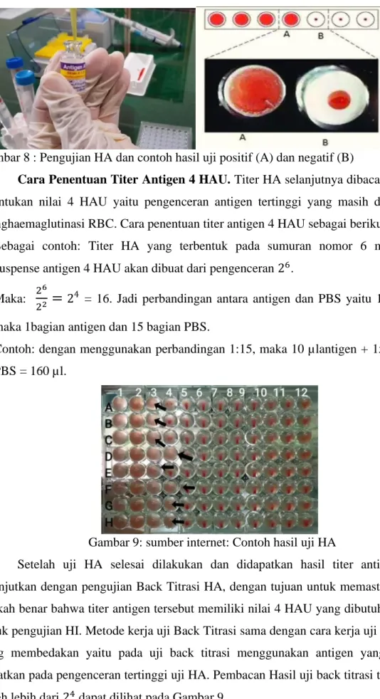 Gambar 9: sumber internet: Contoh hasil uji HA 