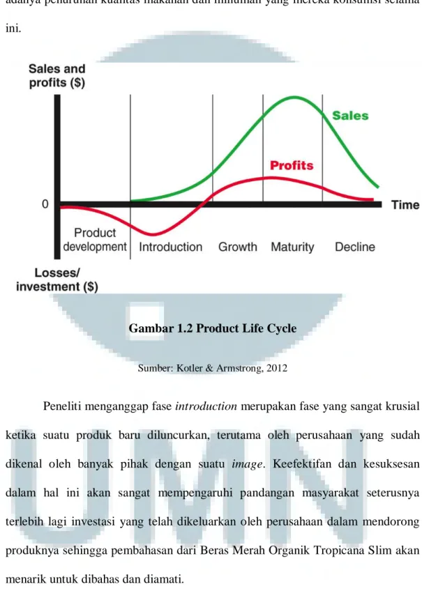 Gambar 1.2 Product Life Cycle 