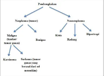 Gambar 2.1.  Bagan  perbedaan neoplasma dan non neoplasma (Sumber : Manuaba, Sudarsa, Wim de Jong, Sukardja dalam Sjamsuhidajat tahun 2007) 