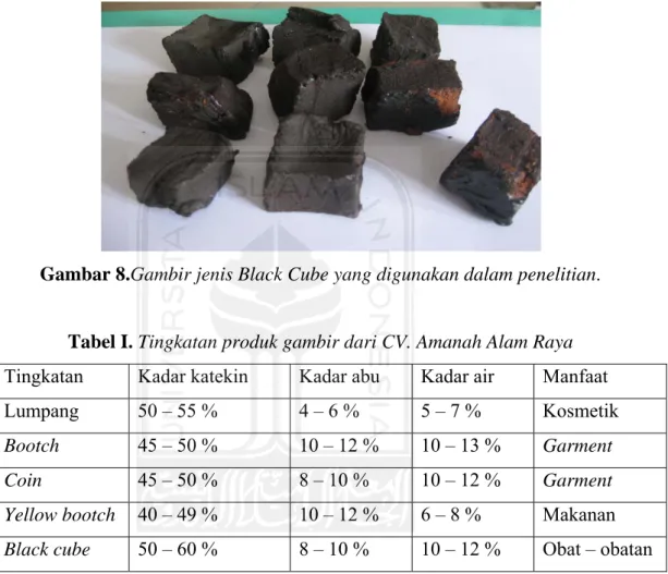 Gambar 8.Gambir jenis Black Cube yang digunakan dalam penelitian. 