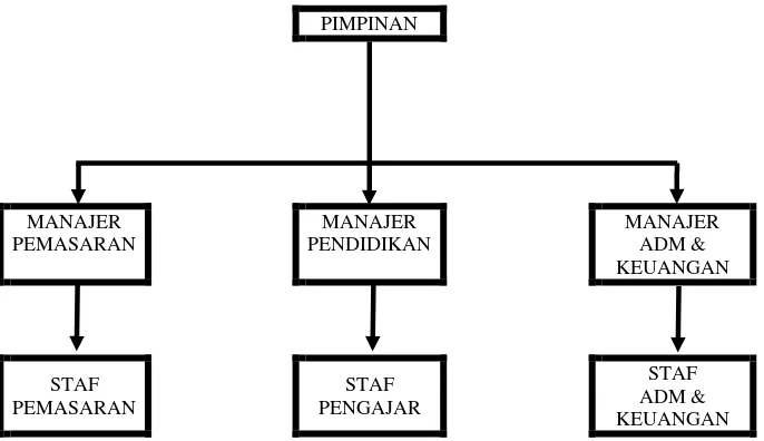 Gambar 4.1.  Struktur Organisasi Bimbingan Belajar Avins Medan 
