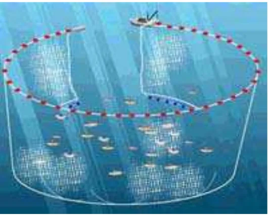 Gambar 2. Jaring Purse seine (Sumber : envirohonper7.wikispaces.com) 