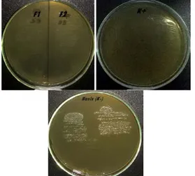 Gambar 3. Sediaan hand wash  Tabel 3. PenentuanKHM dan KBM hand  wash terhadap bakteri 