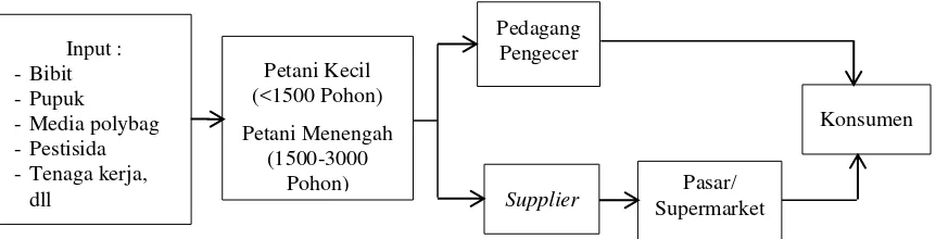 Gambar 3 Rantai Pasokan Stroberi di Kawasan Lembang, Kabupaten Bandung 