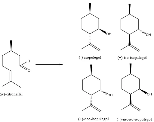 Figure 1 Stereoisomer structures of pulegol from R-citronellal 