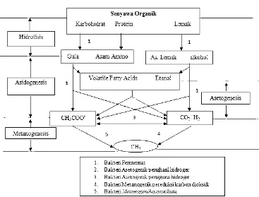 Gambar 2.3Gambar 2.3 Tahap Pembentukan Biogas [39]