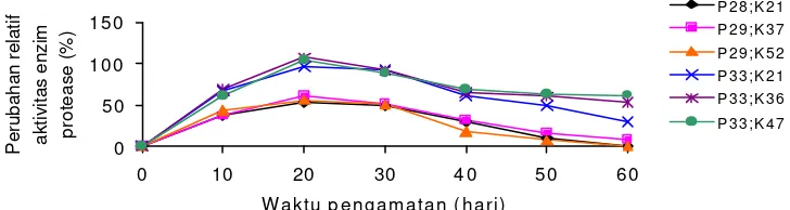 Gambar 2. Perubahan relatif aktivitas enzim protease (%) pada ikan gurame yang mengkonsumsi pakan yang mengandung protein dan karbohidrat berbeda 