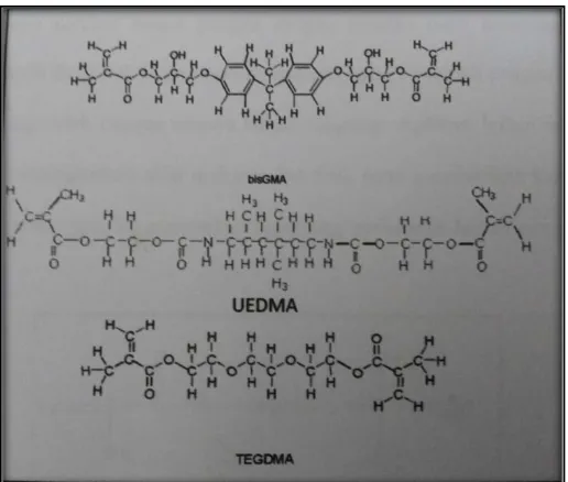 Gambar 1. Struktur kimia Bis-GMA, UEDMA, dan TEGDMA3 