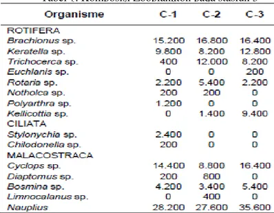 Tabel 7. Komposisi Zooplankton pada stasiun 3 