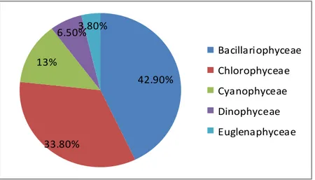 Gambar 2. Persentase Fitoplankton Di Waduk Darma42.90%33.80%13%6.50%3.80% BacillariophyceaeChlorophyceaeCyanophyceaeDinophyceaeEuglenaphyceae
