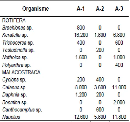 Tabel 5. Komposisi Zooplankton pada Stasiun 1 