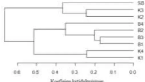 Gambar  2.  Pengelompokan  genotipe  semangka  berdasarkan  karakter  kualitatif  dan  kuantitatif 