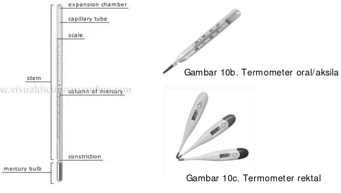 Gambar 10b. Termometer oral/aksila  