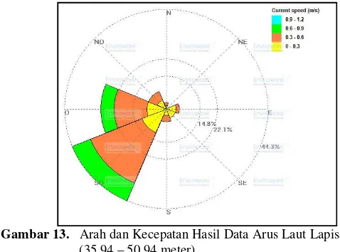 Gambar 13.    Arah dan Kecepatan Hasil Data Arus Laut Lapisan Dalam 