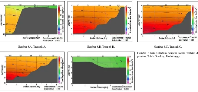 Gambar 8.Pola distribusi densitas secara vertikal di perairan Teluk Gending, Probolinggo