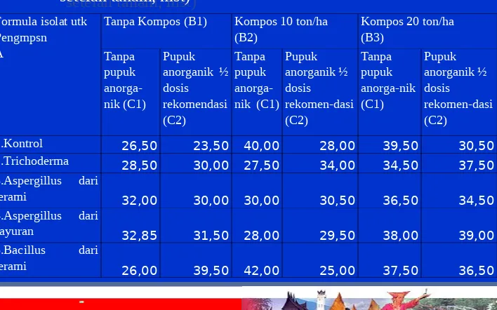 Tabel 4. Jumlah daun bawang setelah dipupuk dengan kompos menggunkan formula isolat jamur/bakteri terpilih  (4 minggu menggunkan formula isolat jamur/bakteri terpilih  (4 minggu 