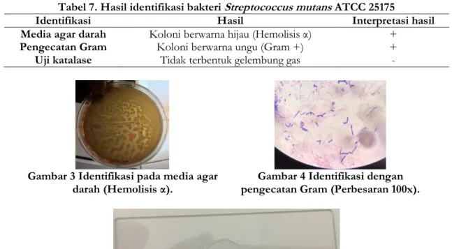 Tabel 7. Hasil identifikasi bakteri  Streptococcus mutans  ATCC 25175 